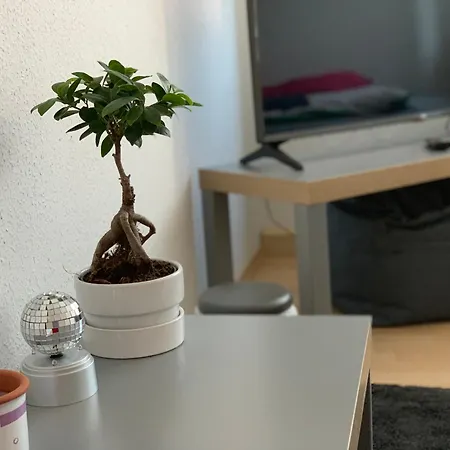 Nahe Innenstadt Apartment *